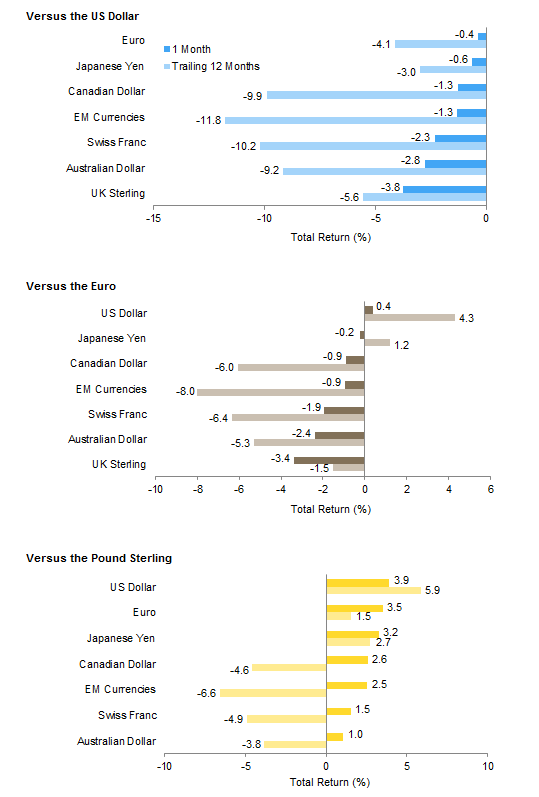 Currency Performance. As of January 31, 2016
