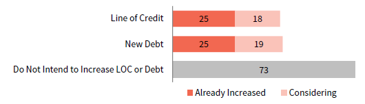 FIGURE 4 INSTITUTIONS CONSIDERING BORROWING TO COPE WITH VOLATILITY. Fiscal Year 2021 • n = 160